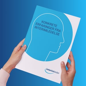 Guider - Interimleder (1)